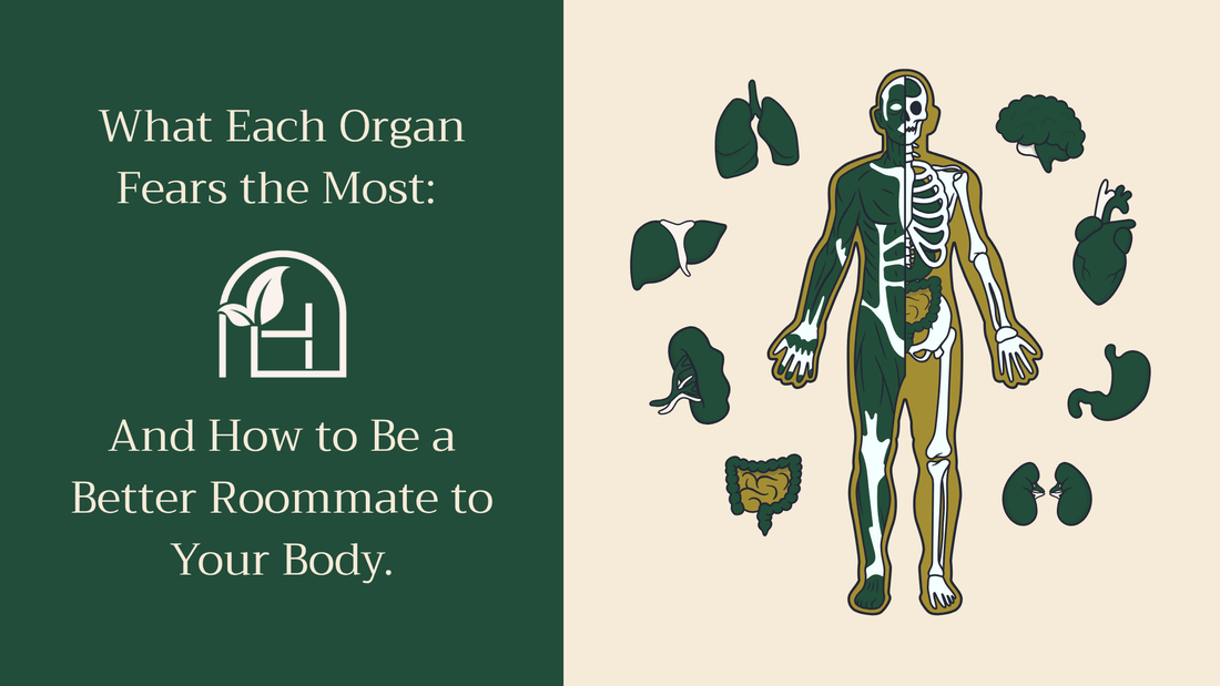 What Each Organ Fears the Most: And How to Be a Better Roommate to Your Body
