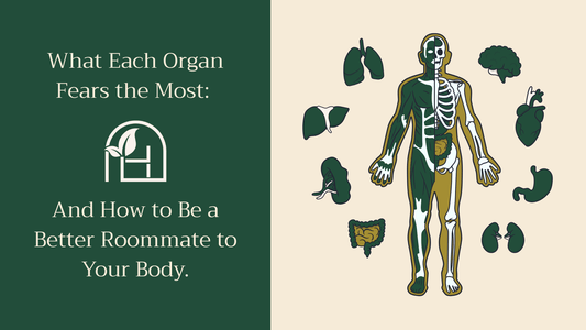 What Each Organ Fears the Most: And How to Be a Better Roommate to Your Body