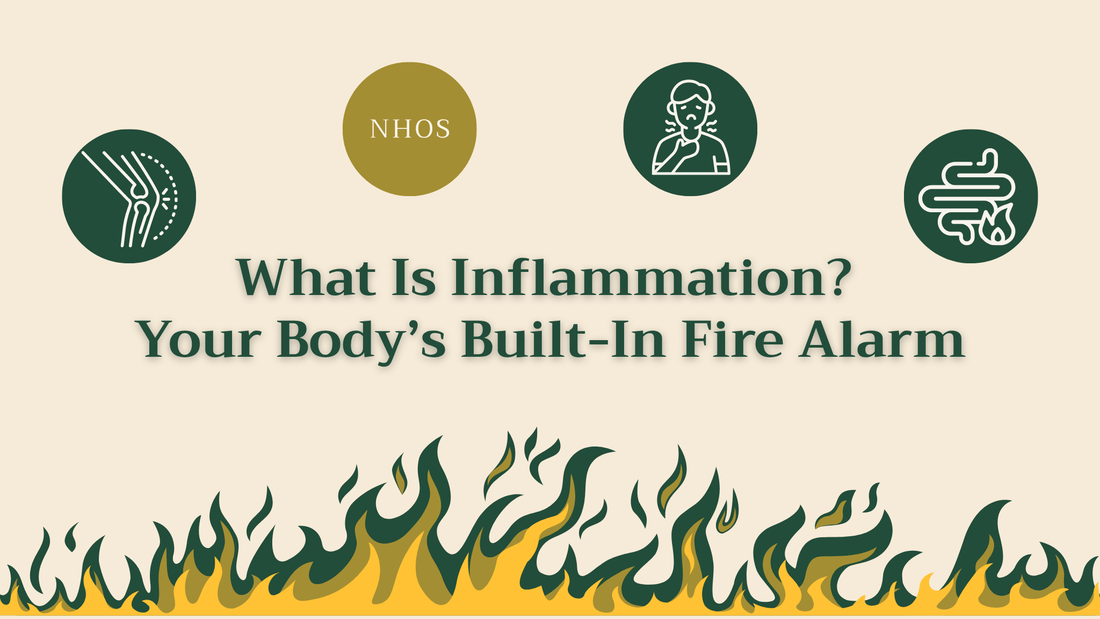 What Is Inflammation? Your Body’s Built-In Fire Alarm