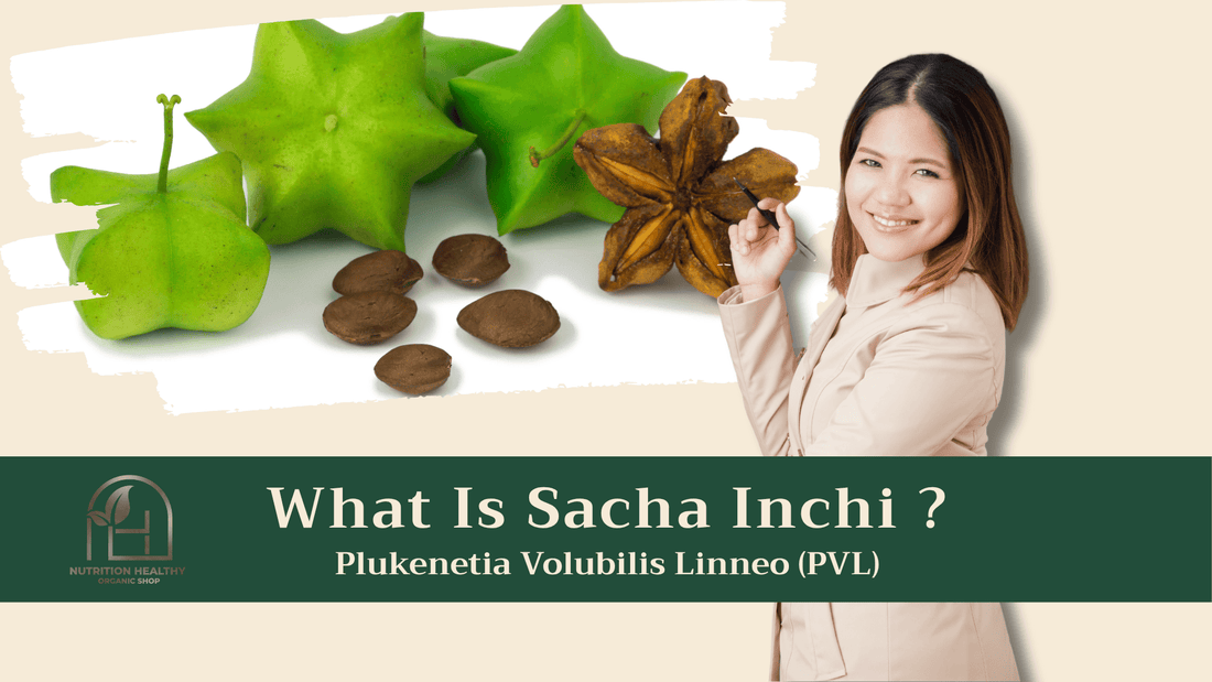 What is Sacha Inchi?