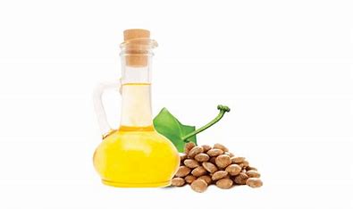 What is Sacha Inchi oil? What are the most important nutrients?