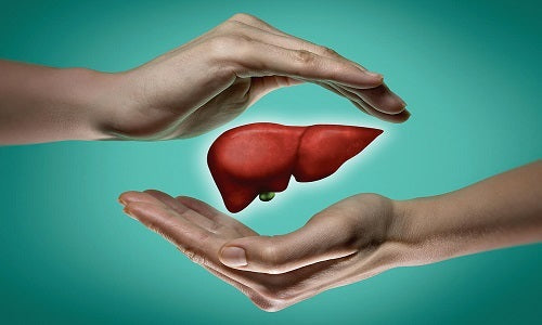 What are the manifestations of liver disease improvement?